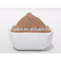 Accobio offre un extrait naturel de cistanche tubulosa / échinacoside 10%